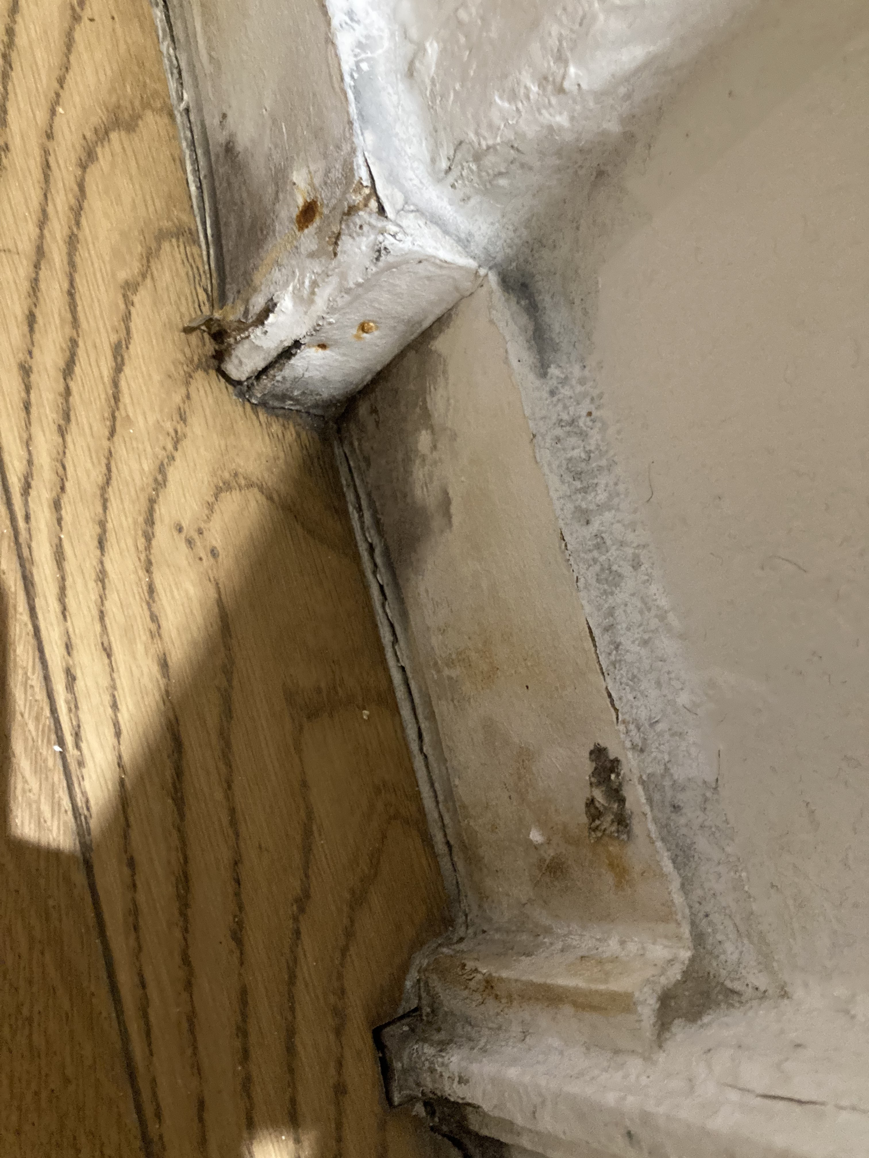 Photo n° 10 de l'avis de Francisco.a fait le 26/03/2024 à 21:28