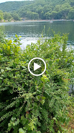 Fortress «Fort Montgomery», reviews and photos, 690 US-9W, Fort Montgomery, NY 10922, USA