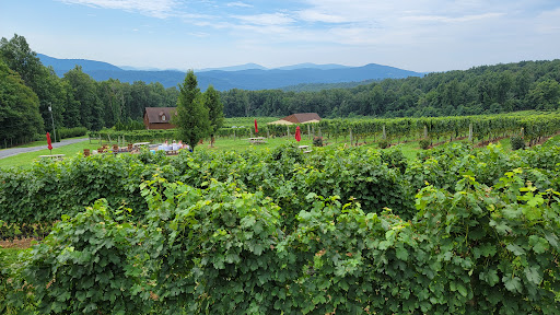 Vineyard «Naked Mountain Winery & Vineyards», reviews and photos, 2747 Leeds Manor Rd, Markham, VA 22643, USA