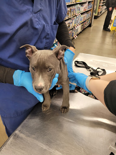 Pet Supply Store «Pet Supplies Plus», reviews and photos, 126 E Main St, Smithtown, NY 11787, USA