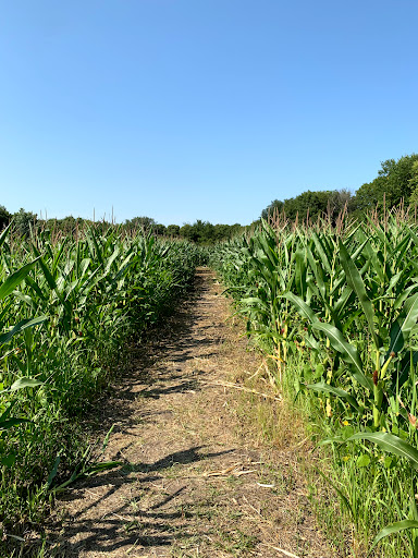 Excavating Contractor «S M Hentges & Sons Inc», reviews and photos, 650 Quaker Ave # 200, Jordan, MN 55352, USA