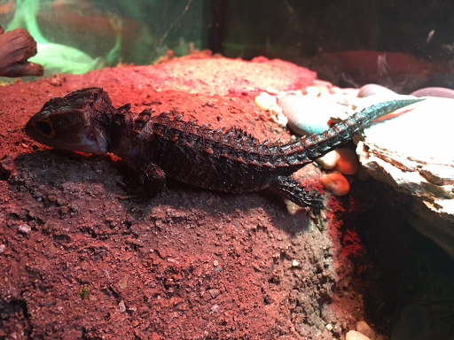 Pet Store «The Pet Works», reviews and photos, 407 4th Ave E, Olympia, WA 98501, USA