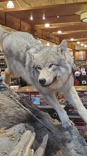 Outdoor Sports Store «Field & Stream», reviews and photos, 520 Clock Tower Way, Crescent Springs, KY 41017, USA