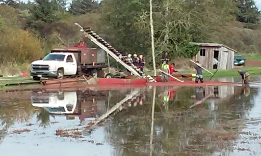 Museum «Cranberry Museum», reviews and photos, 2907 Pioneer Rd, Long Beach, WA 98631, USA