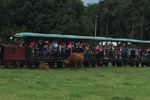 East Links Family Park image