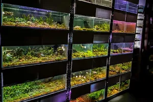 Aquarium Gift Palace image