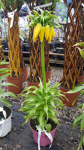 Rolmat - Centrum Ogrodnicze - Włocławek