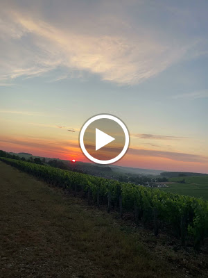 Domaine de Savant à Beine