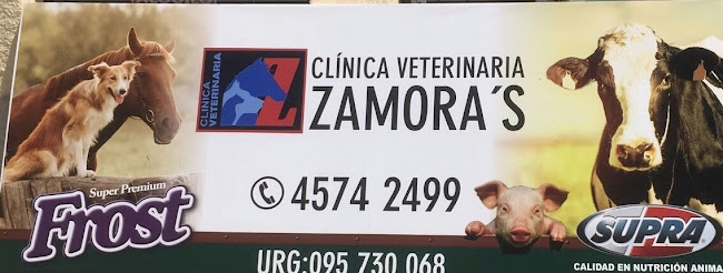 Opiniones de Clínica Veterinaria Zamora's en Colonia - Veterinario