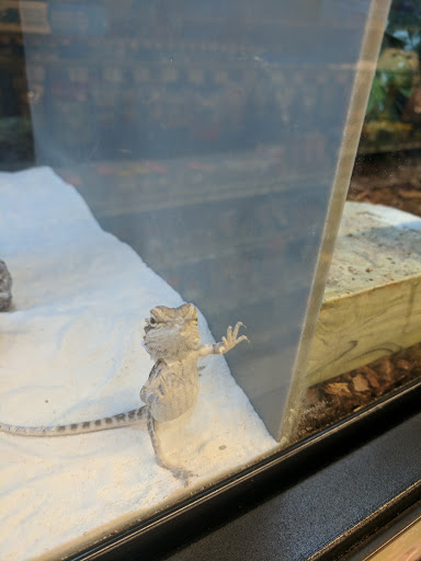 Pet Supply Store «PetSmart», reviews and photos, 919 Lakeland Park Center Dr Unit 380, Lakeland, FL 33809, USA