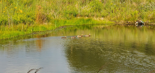 Nature Preserve «McDonald Woods Forest Preserve», reviews and photos, 19611 W Grass Lake Rd, Lake Villa, IL 60046, USA