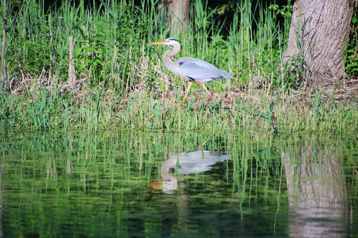 Nature Preserve «Hawthorne Hill Nature Center», reviews and photos, 28 Brookside Dr, Elgin, IL 60123, USA