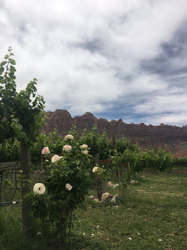 Winery «Spanish Valley Vineyard & Winery», reviews and photos, 4710 Zimmerman Ln, Moab, UT 84532, USA