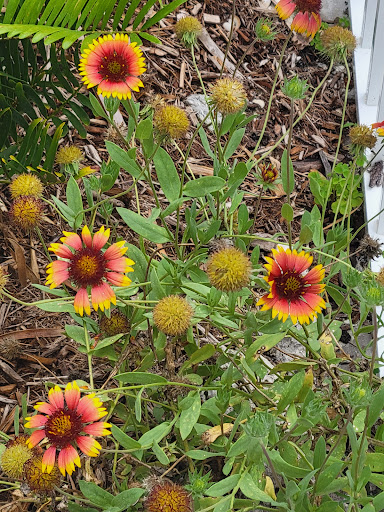 Shopping Mall «Periwinkle Place», reviews and photos, 2075 Periwinkle Way, Sanibel, FL 33957, USA