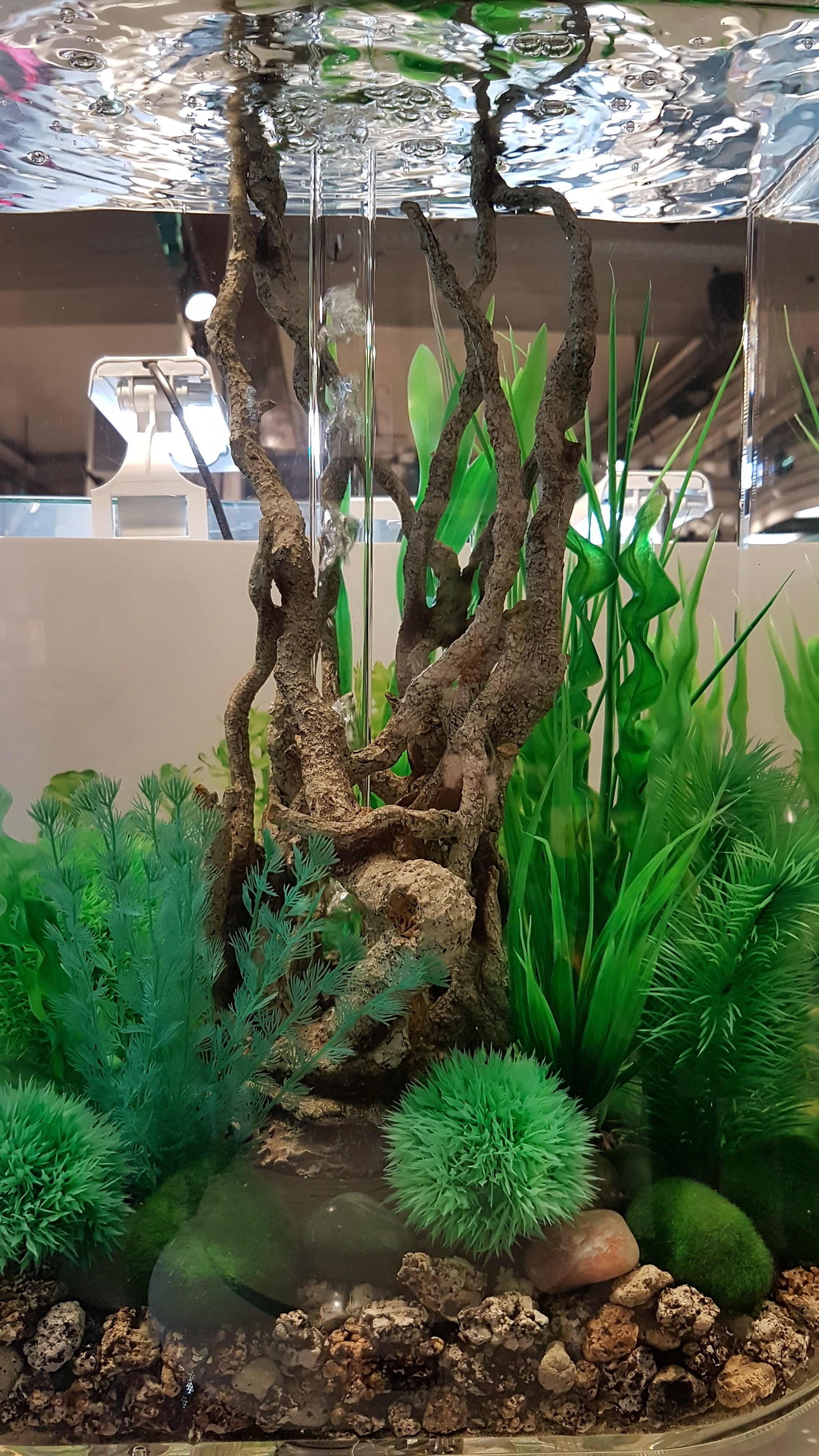 Photo n° 2 de l'avis de Françoise.O fait le 22/03/2019 à 19:28