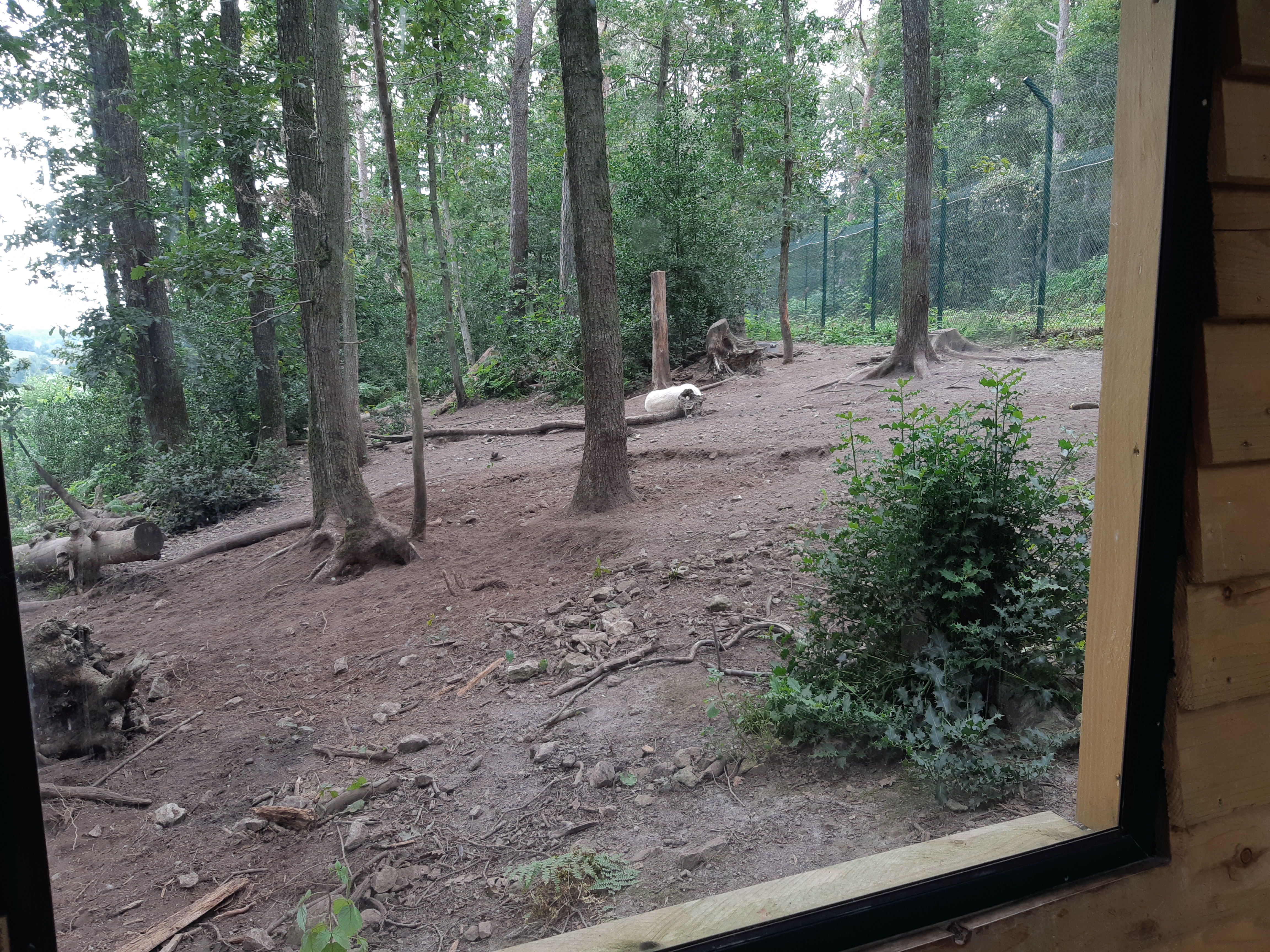 Photo n° 7 de l'avis de Karin. fait le 27/08/2021 à 19:30