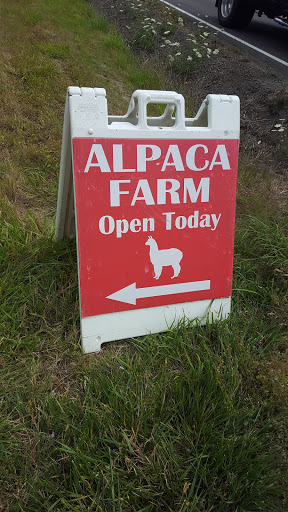 Livestock Breeder «Alpacas at Marquam Hill Ranch», reviews and photos, 35835 OR-213, Molalla, OR 97038, USA