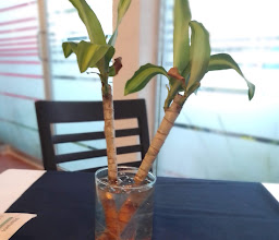 Hotel Puerta del Sol photo