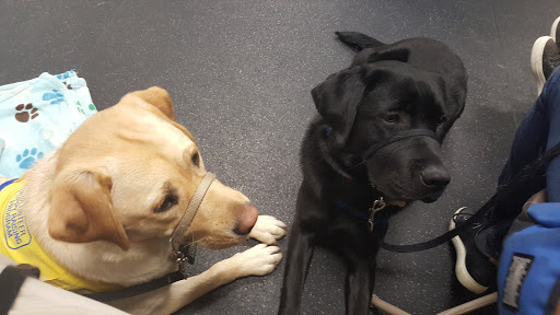 Pet Trainer «Especially For Pets Inc», reviews and photos, 424 Boston Post Rd, Sudbury, MA 01776, USA