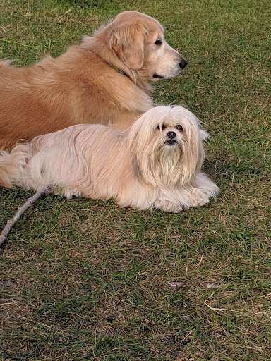 Pet Supply Store «Petco Animal Supplies», reviews and photos, 5239 Harvey St, Norton Shores, MI 49444, USA