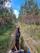Écuries d’en hill Biscarrosse