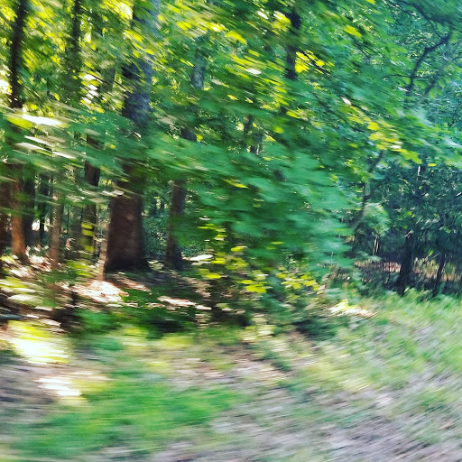 Cabin Rental Agency «Dixieland Cabins», reviews and photos, 1613 Donelson Pkwy, Dover, TN 37058, USA