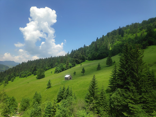 Borșa, România