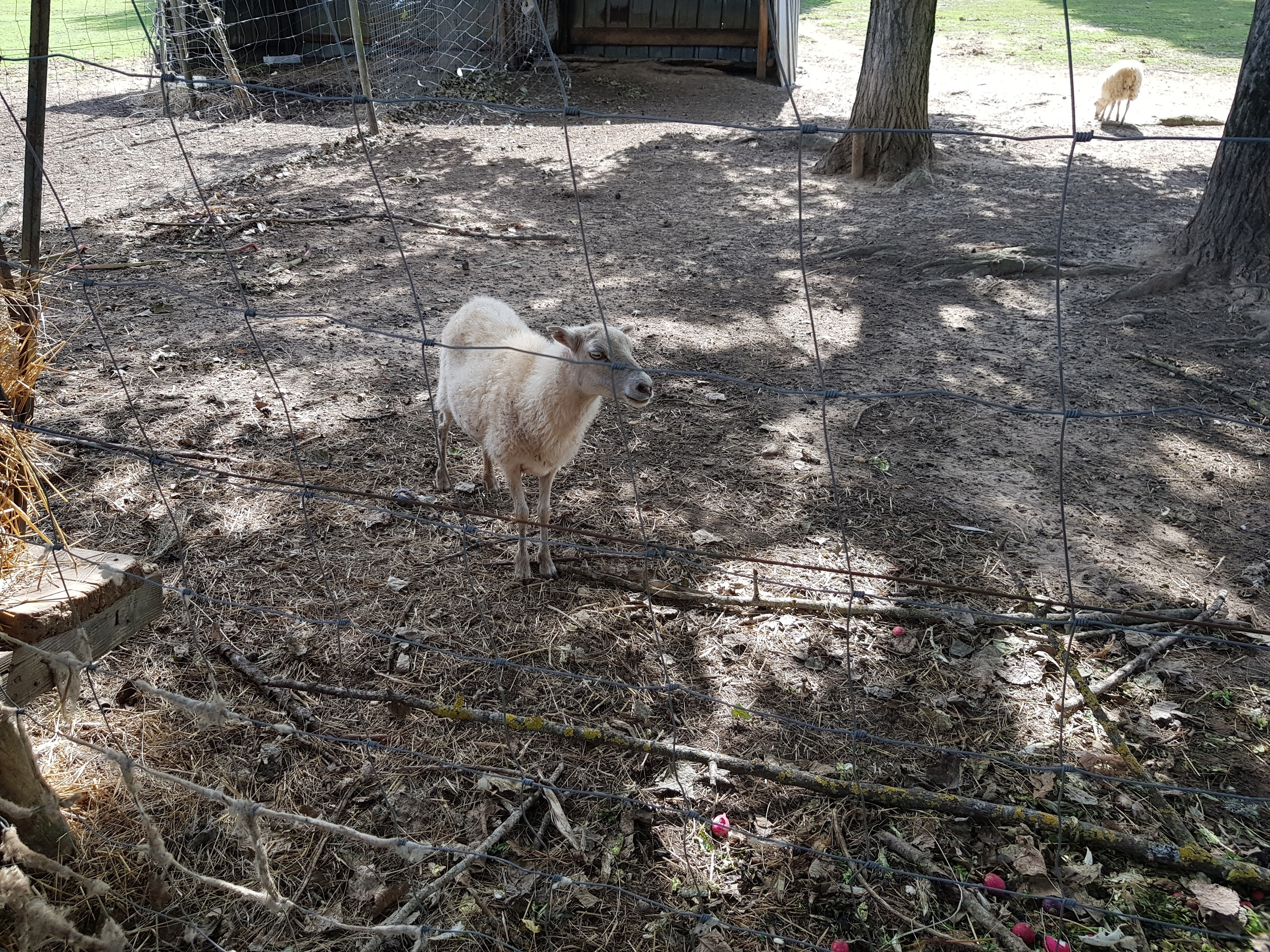 Photo n° 14 de l'avis de Gribs. fait le 13/08/2017 à 17:24