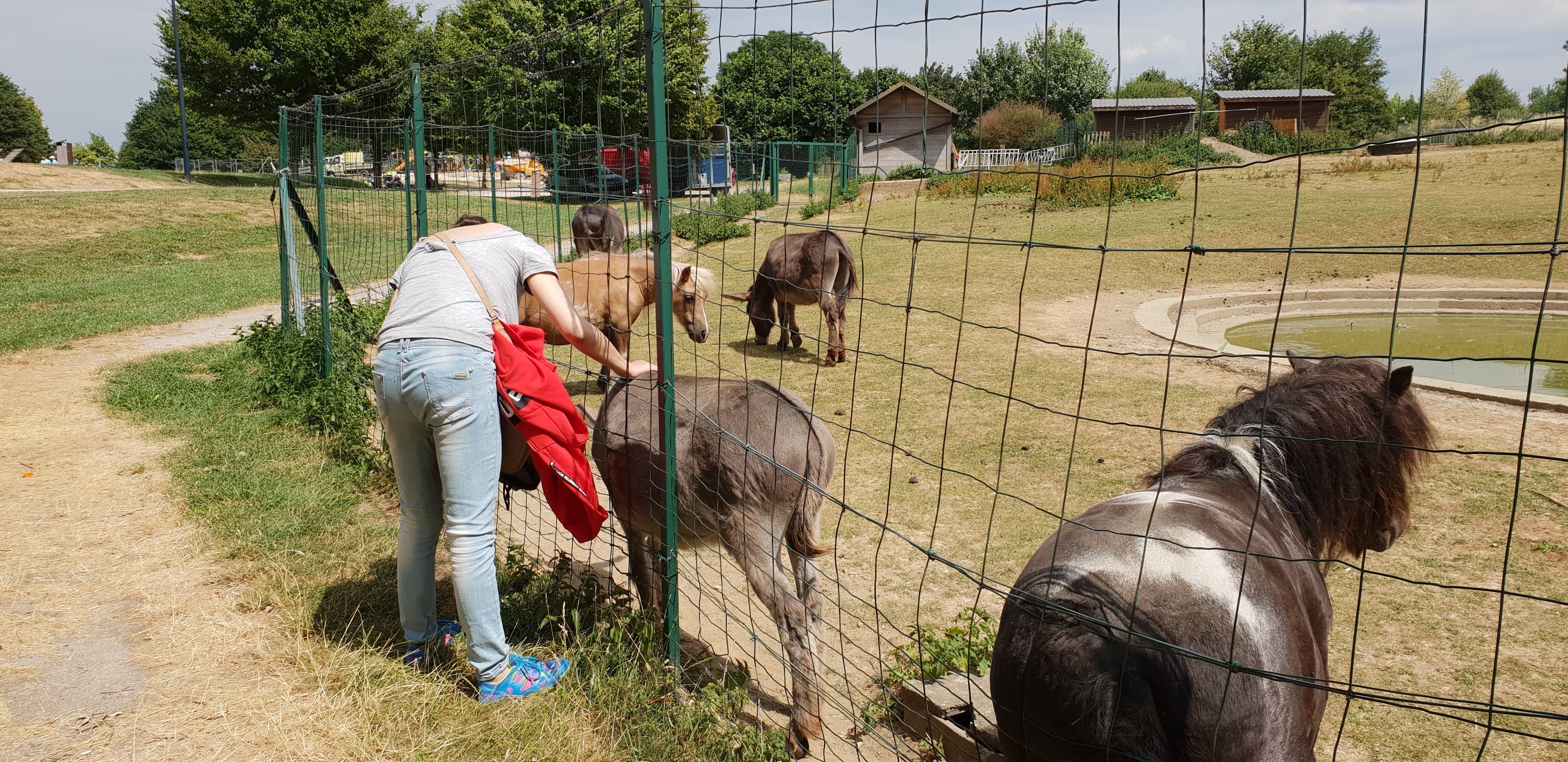 Photo n° 4 de l'avis de gaël.e fait le 14/06/2019 à 17:07