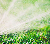 Cowboy Mowing and Landscaping - Photo 4 - Car repair in , Denver