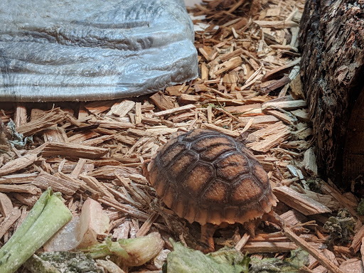 Pet Store «Pet Kingdom», reviews and photos, 3191 Sports Arena Blvd, San Diego, CA 92110, USA