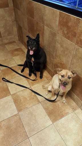 Pet Supply Store «PetSmart», reviews and photos, 8111 Brier Creek Pkwy, Raleigh, NC 27617, USA