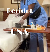 Peridot Home Care LLC - Photo 2 - Car repair in Lauderdale-By-The-Sea, FL, Fort Lauderdale