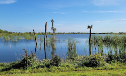 Ritch Grissom Memorial Wetlands