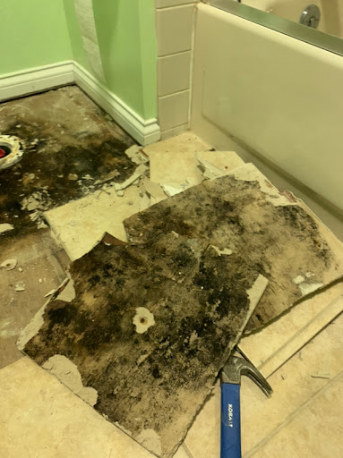 Carpet Cleaning Service «Harris Services», reviews and photos, 5123 S Production Dr C, Bloomington, IN 47403, USA