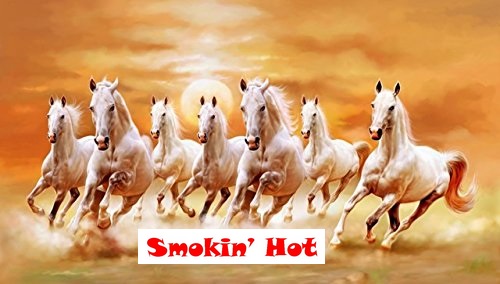 Tobacco Shop «Smokin Hot Smoke Shop», reviews and photos, 314 Washington Blvd, Ogden, UT 84404, USA