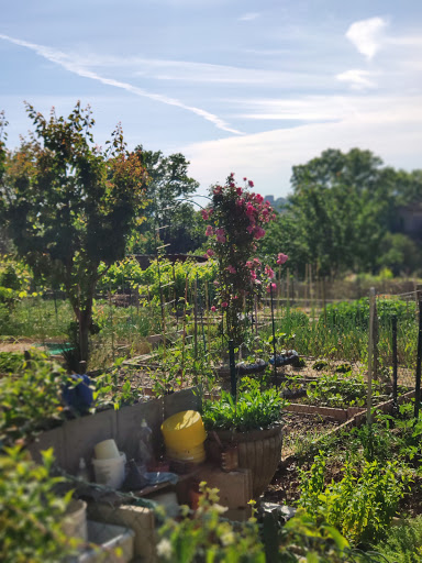 Les Jardins de Montolivet