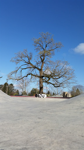 Park «Khunamokwst Park», reviews and photos, 5200 NE Alberta St, Portland, OR 97218, USA