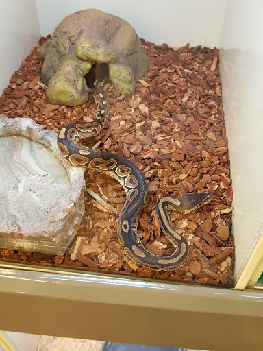 Pet Supply Store «Pet Supplies Plus», reviews and photos, 2600 McFarland Blvd E U, Tuscaloosa, AL 35405, USA