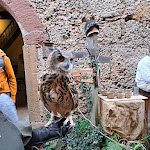 Photo n°2 de l'avis de Anja.a fait le 05/10/2023 à 12:33 sur le  Burg Tannenberg à Nentershausen