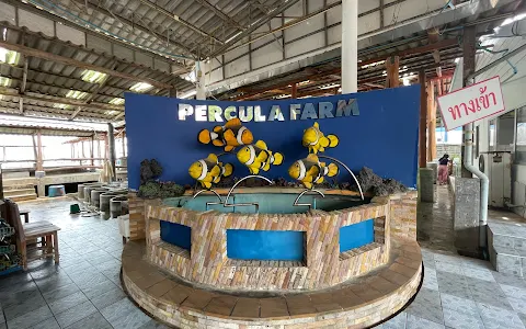 Percula Farm image