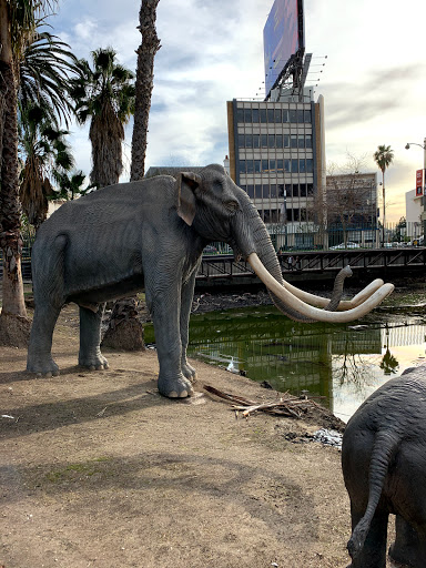 Museum «La Brea Tar Pits & Museum», reviews and photos, 5801 Wilshire Blvd, Los Angeles, CA 90036, USA