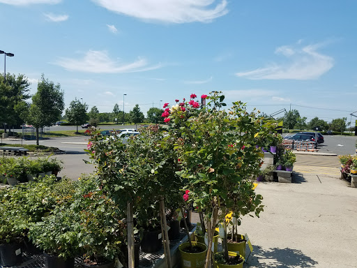 Home Improvement Store «The Home Depot», reviews and photos, 3540 New Jersey 66, Neptune City, NJ 07753, USA