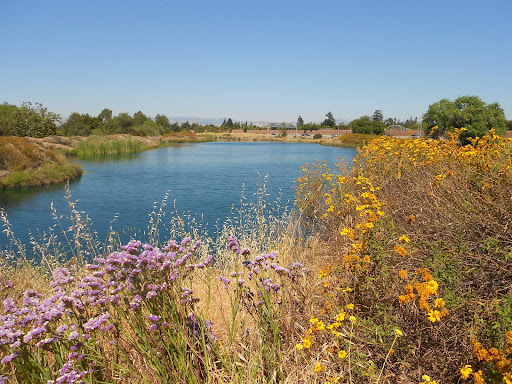 Park «Los Gatos Creek County Park», reviews and photos, 1250 Dell Ave, Campbell, CA 95008, USA