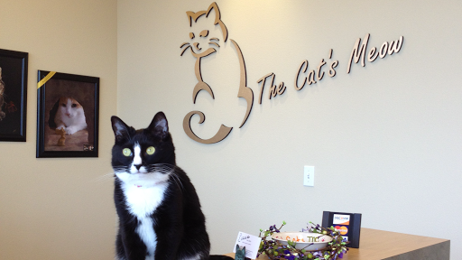 The Cat's Meow Cat Clinic image