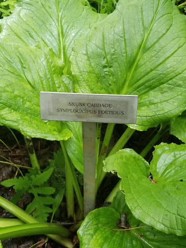 Sightseeing Tour Agency «Acadia National Park Tours», reviews and photos, 53 Main St, Bar Harbor, ME 04609, USA