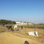 Photo n°2 de l'avis de Adele. fait le 18/10/2017 à 14:55 sur le  Ristorante Il Giardino dei Sapori à Nichelino