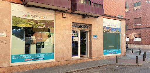 PlantasyGambas & Reef