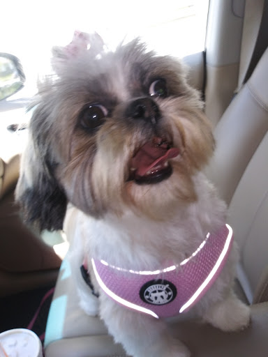 Pet Supply Store «The Dog House», reviews and photos, 4237 S Alameda St, Corpus Christi, TX 78412, USA