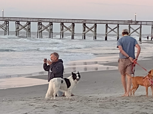 Tourist Attraction «Beach Access», reviews and photos, Alantic Ave, Pawleys Island, SC 29585, USA